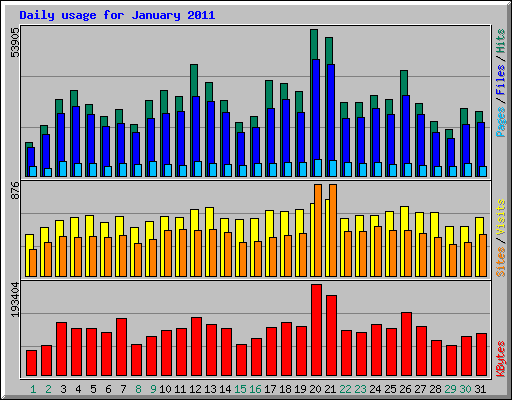 Daily usage for January 2011