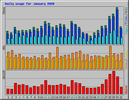 Daily usage for January 2020