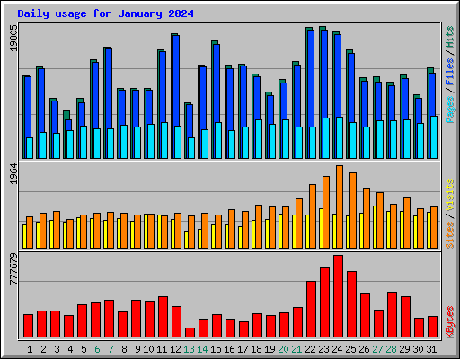Daily usage for January 2024