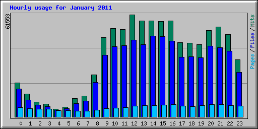 Hourly usage for January 2011