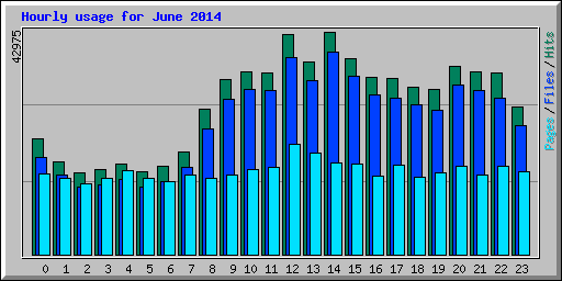 Hourly usage for June 2014