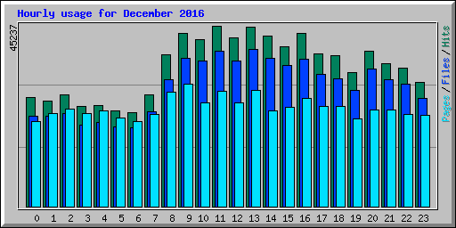 Hourly usage for December 2016