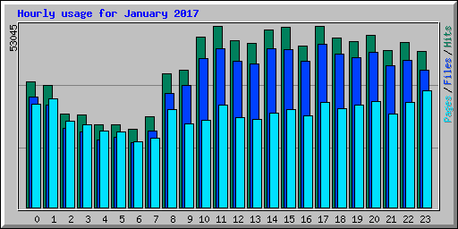 Hourly usage for January 2017