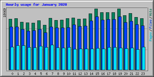 Hourly usage for January 2020