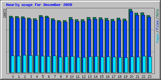 Hourly usage for December 2020