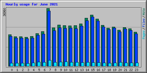 Hourly usage for June 2021