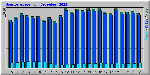 Hourly usage for December 2022