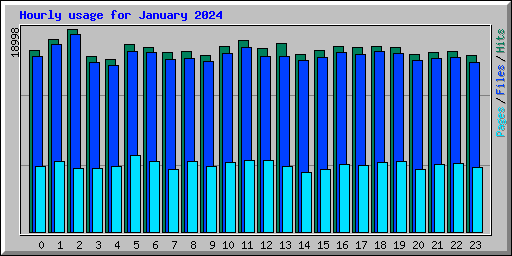 Hourly usage for January 2024