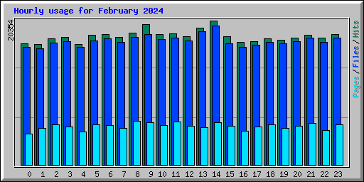 Hourly usage for February 2024