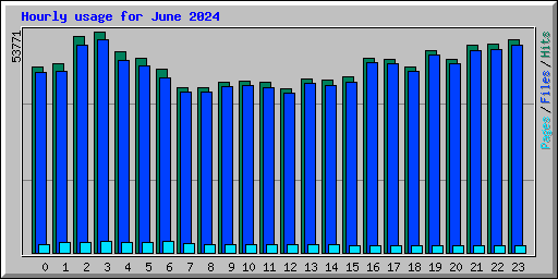Hourly usage for June 2024