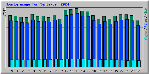 Hourly usage for September 2024