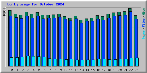 Hourly usage for October 2024