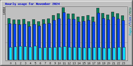 Hourly usage for November 2024