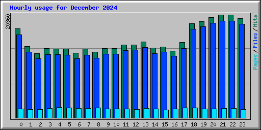 Hourly usage for December 2024