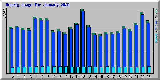 Hourly usage for January 2025