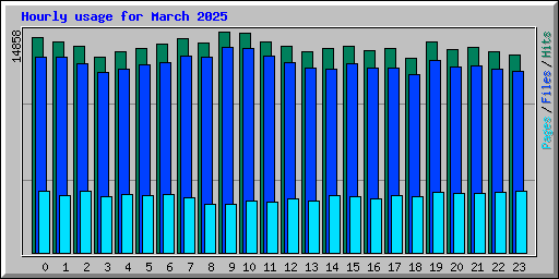 Hourly usage for March 2025