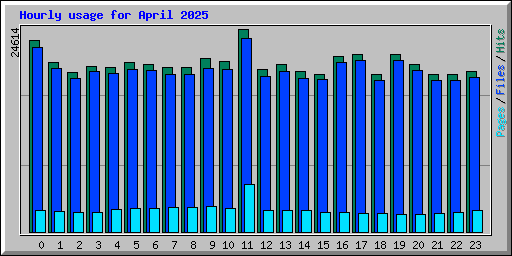 Hourly usage for April 2025