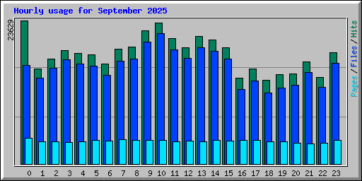 Hourly usage for September 2025