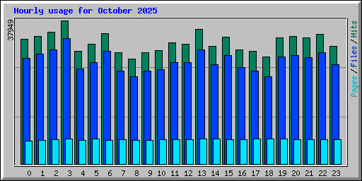 Hourly usage for October 2025