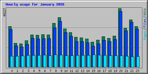 Hourly usage for January 2026
